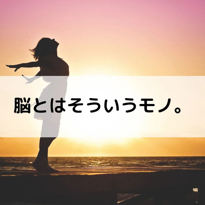 【三郷・八潮】脳とはそういうモノ｜メルシー整体院