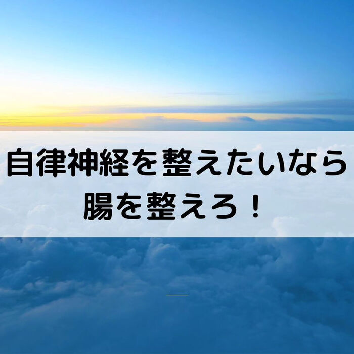【三郷・八潮】自律神経を整えるなら腸を整えろ！｜メルシー整体