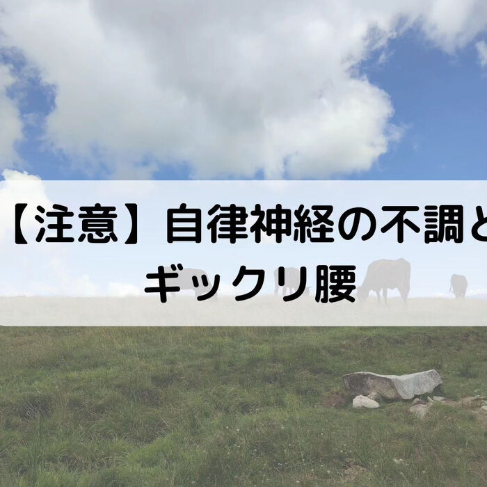 【三郷・八潮】自律神経の不調とギックリ腰に注意｜メルシー整体