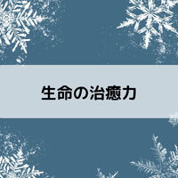 画像1642