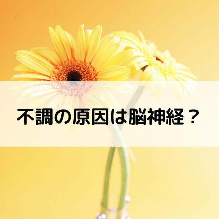 【三郷・八潮】不調の原因は脳神経？｜メルシー整体院