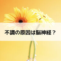 画像1626