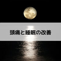 画像1628