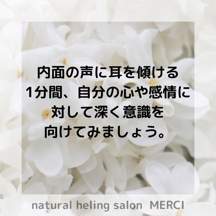 画像1531