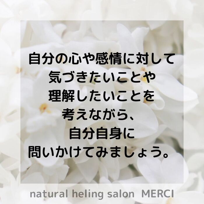 画像1532