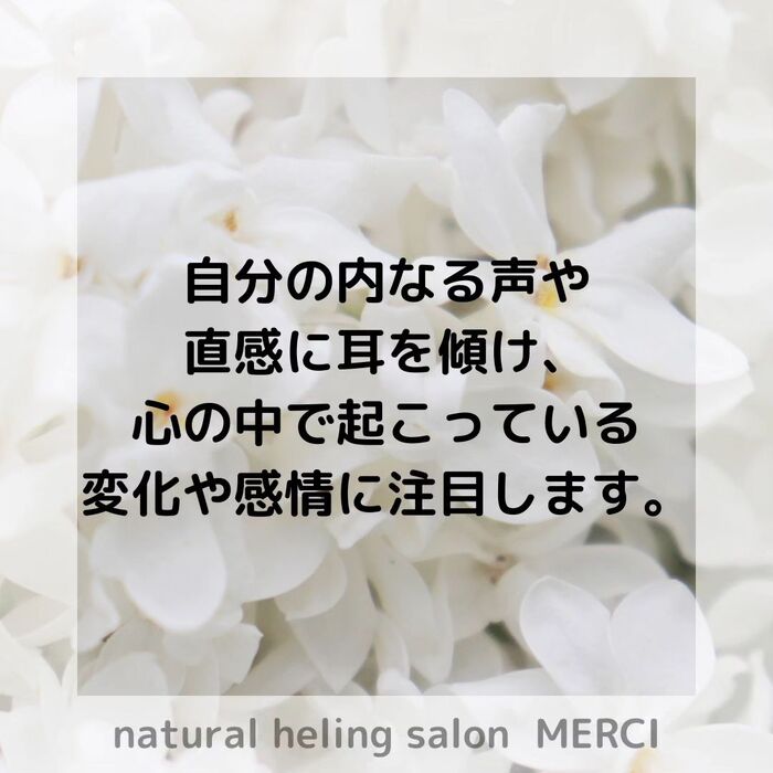 画像1533