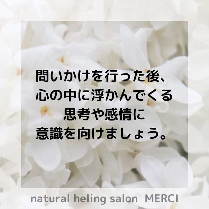 画像1534