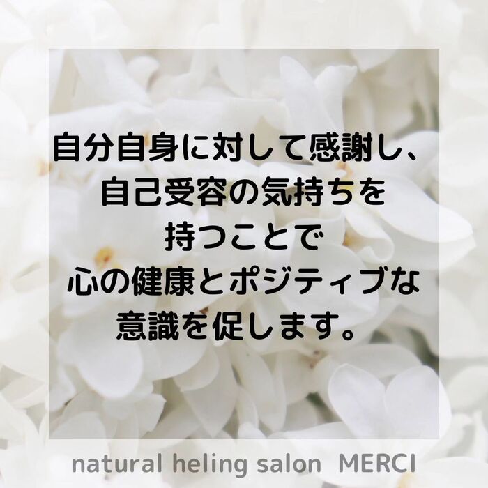 画像1536