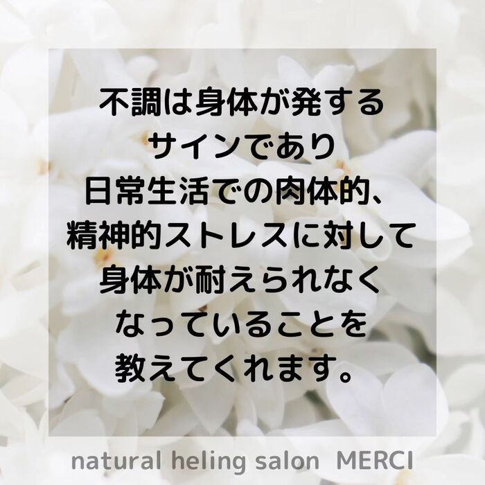 画像1537