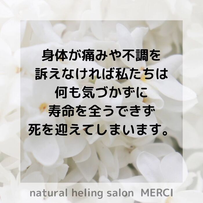 画像1538