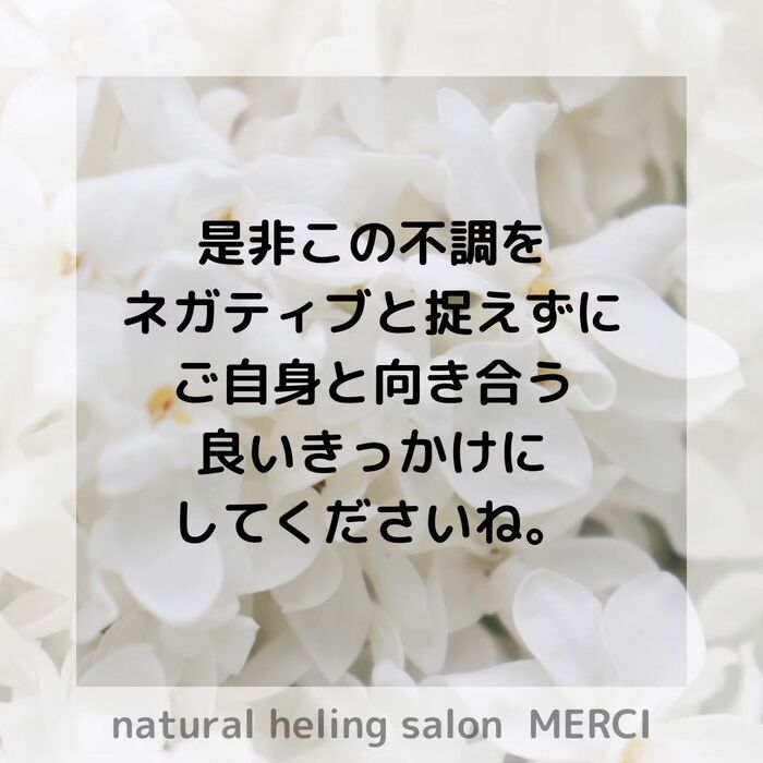 画像1539