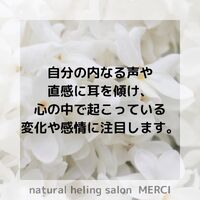 画像1533