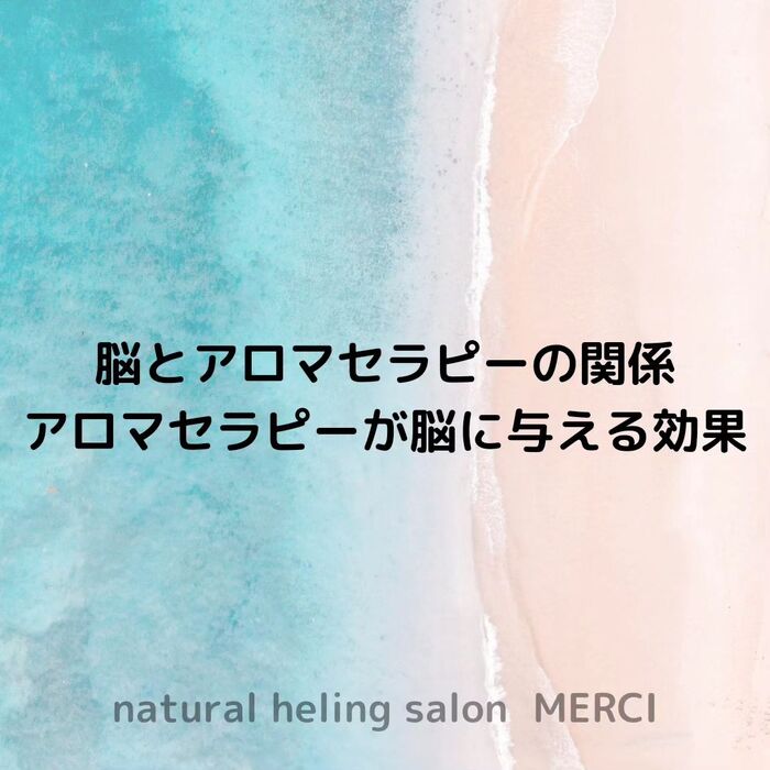 画像1541