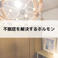 画像1556