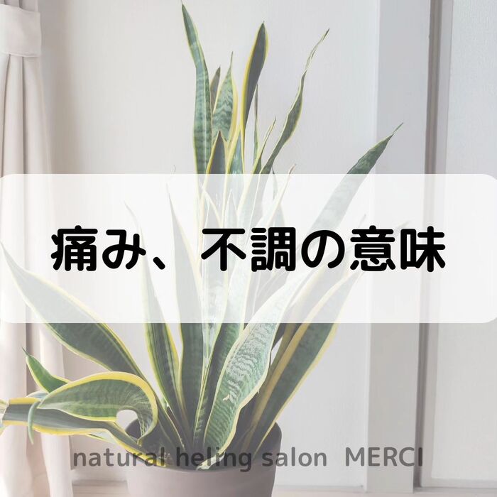【三郷・八潮】痛み、不調の意味｜メルシー整体院
