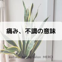 画像1572