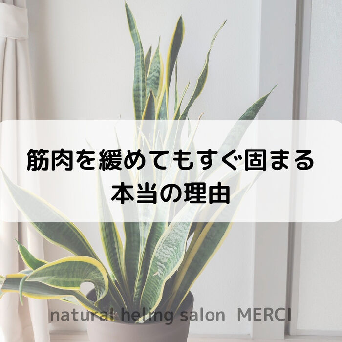 【三郷・八潮】痛みが戻る本当の理由｜メルシー整体院