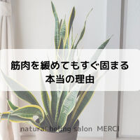画像1584