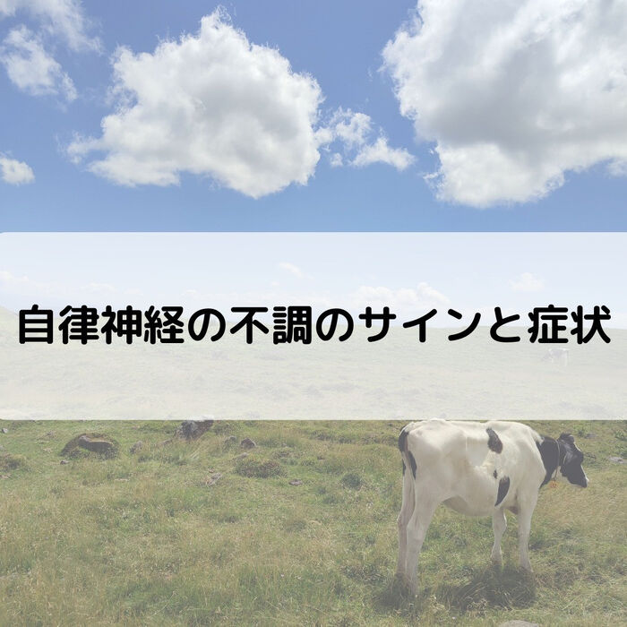 【三郷・八潮】自律神経の不調のサインと症状｜メルシー整体院