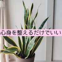 画像1495