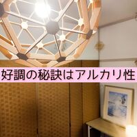 画像1497