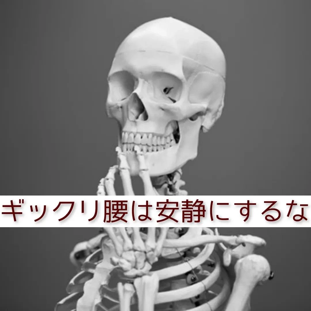 画像1411