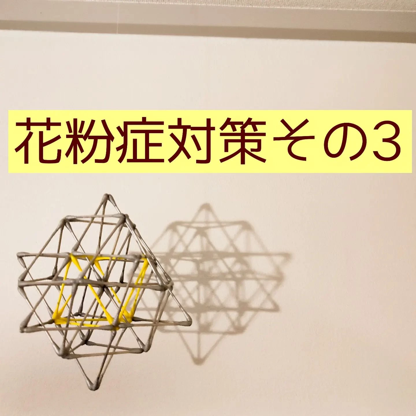 【三郷・八潮】花粉症対策その3｜メルシー整体院