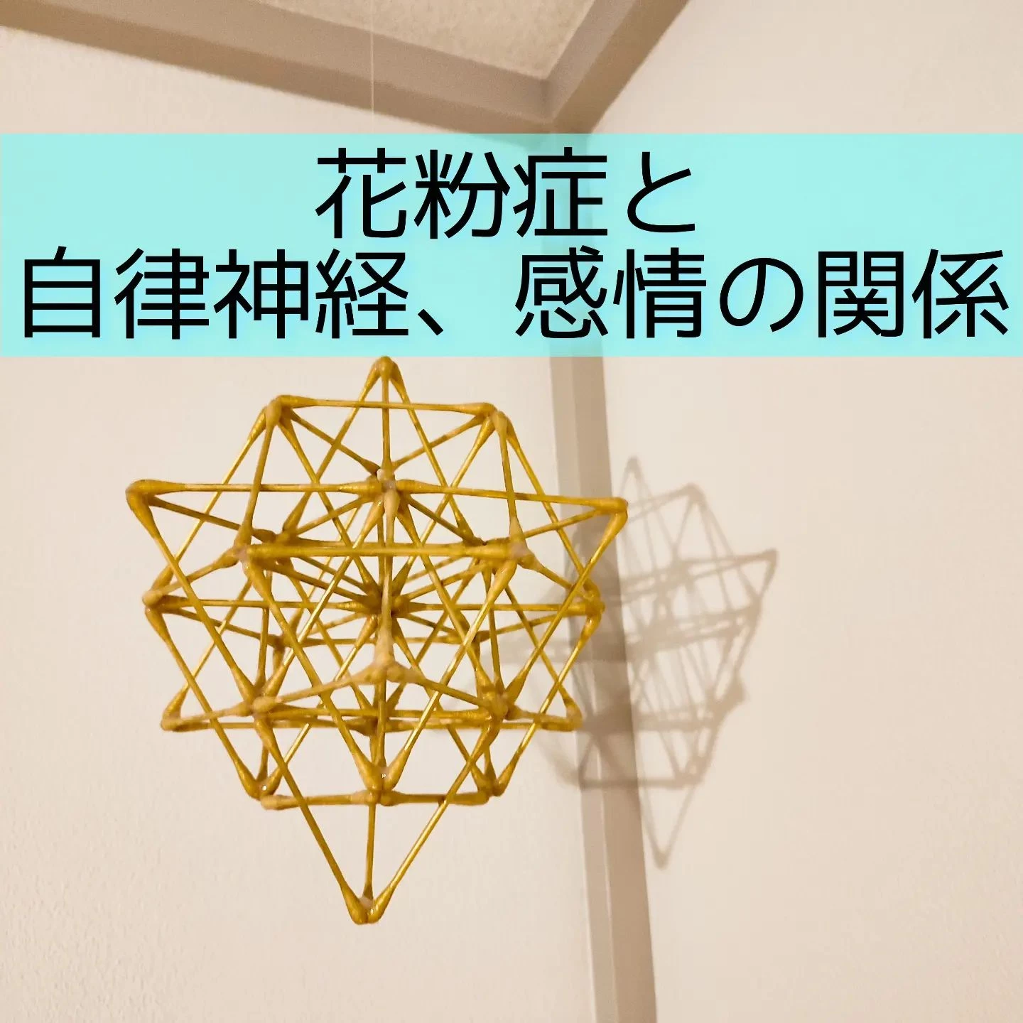 画像1454