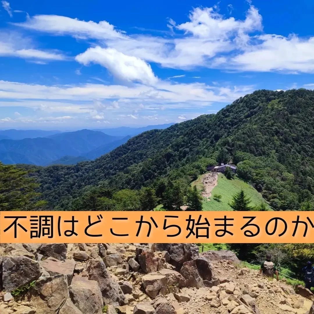 【三郷・八潮】身体の不調はどこから始まるのか｜メルシー整体院