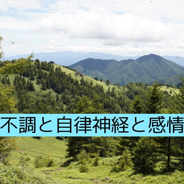 【三郷・八潮】不調と自律神経と感情の関係｜メルシー整体院